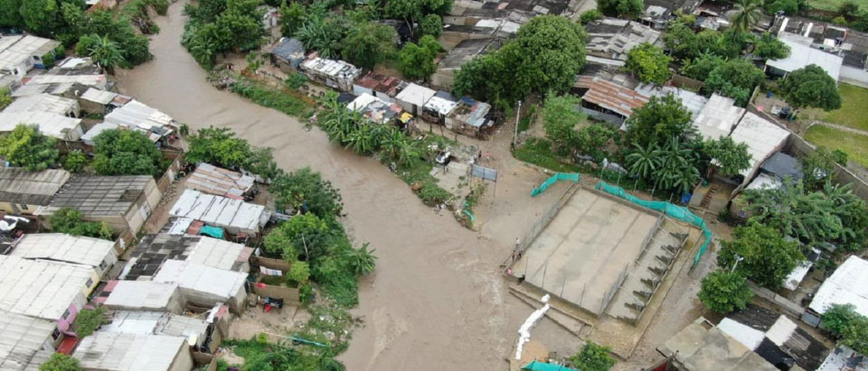 Piojo Atlantico